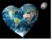 corazón de medio ambiente.JPG