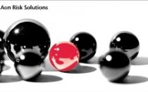 2011-05-02_global_risk_management_survey_banner.jpg
