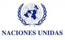 ONU.jpg