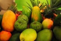 alimentos.jpg