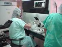 laboratorio.jpeg
