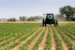agricultura_portada.jpg