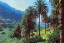 gomera.jpeg